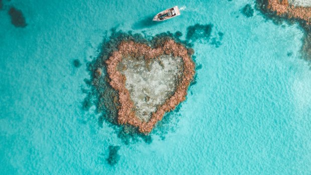 Heart Reef was not discovered until 1975 and has remained free of visitors until now.