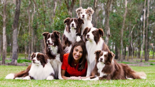 Dr Katrina Warren with The Wonderdogs, a team of border collies that educate and entertain. 