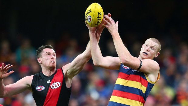 Sam I am:  Essendon's Michael and Adelaide's Jacobs contest possession.