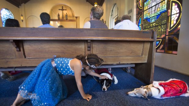 Petra Knopf pats Stryda as Sky watches on during the blessing of the animals at St James the Great Anglican Church.