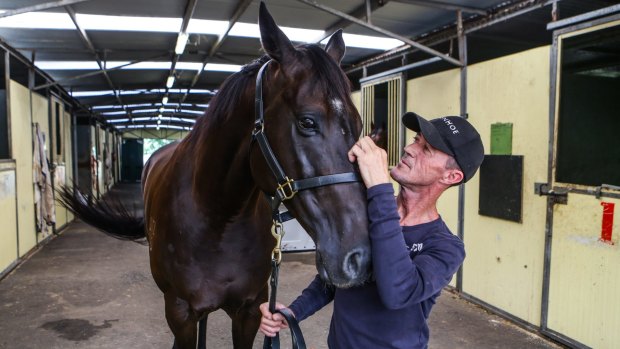 Taking over the reins: Former jockey and now trainer Peter Robl.
