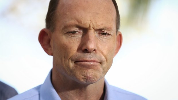 Tony Abbott has been opposed to the purchase of international carbon credits.
