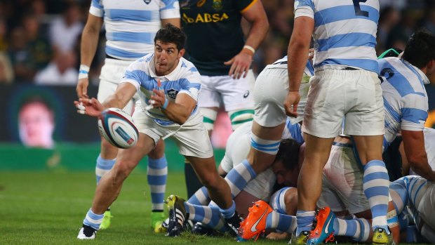 New recruit: Argentina scrumhalf Tomas Cubelli has agreed terms on a two-year deal with the Brumbies.