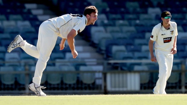 Mitch Marsh bowls for the Warriors.