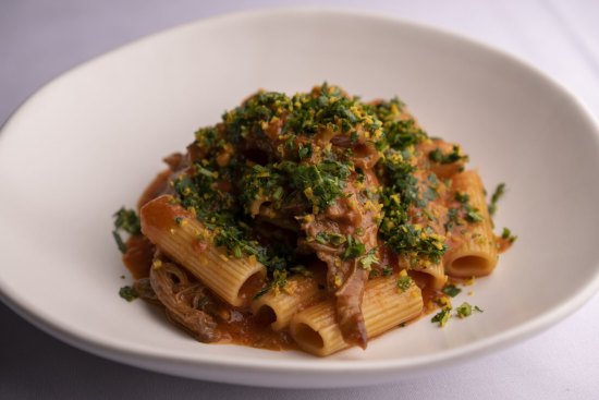 Rigatoni with a lamb ragu.