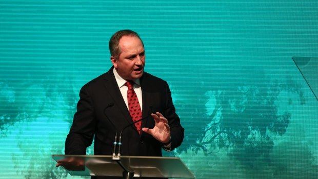 Deputy Prime Minister Barnaby Joyce has sidelined further public service relocations. 