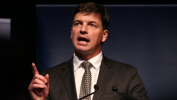 Playing catch-up: Assistant Minister for Digital Transformation Angus Taylor. 