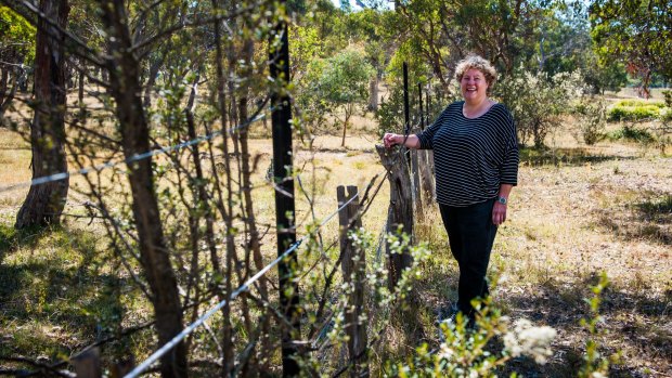 Chair of Royalla Landcare, Maryke Booth, who is currently split between Palerang and Queanbeyan, is happy with the amalgamation of the two councils.