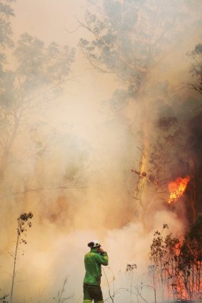 Forest firefighters who braved the Christmas blazes on the Great Ocean Road want recognition as emergency workers.
