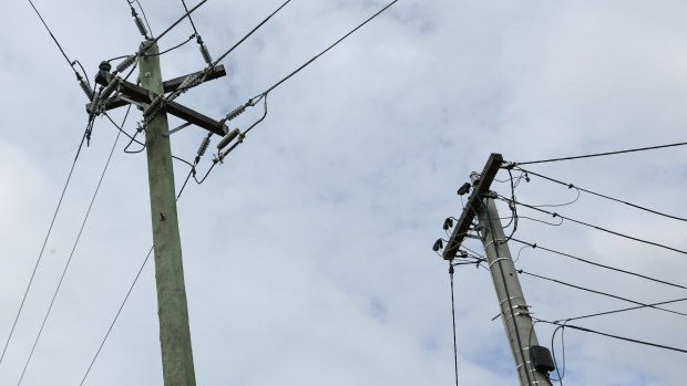 The Baird government has said poles and wires will go on the market if it is re-elected next year.