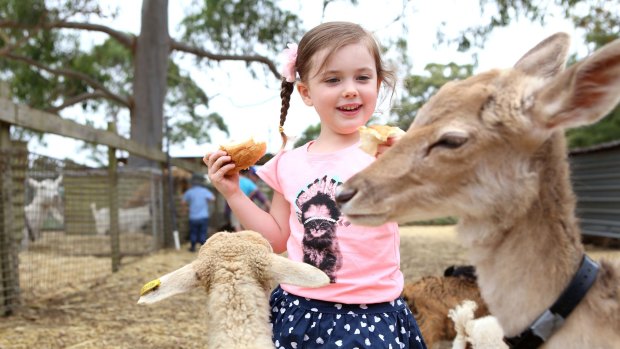 Scientists have uncovered why children who live on farms are protected from allergies.