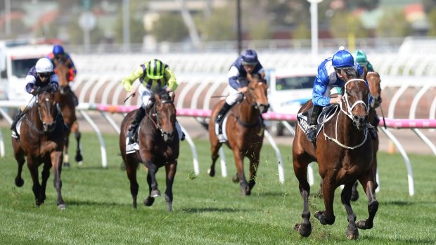 A country mile: Winx streaks the field in the Turnbull Stakes at Flemington.