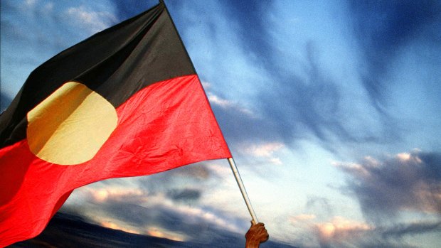 There are calls for the Carnarvon shire council to be sacked in its entirety over the flag furore.