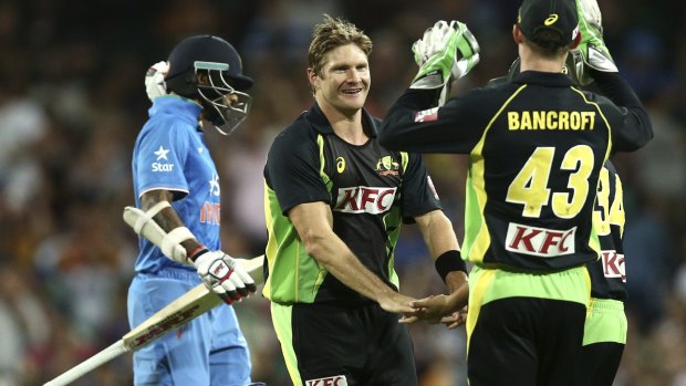 Fitness race: Shane Watson celebrates the wicket of India's Shikhar Dhawan during their T20 International in Sydney last month.