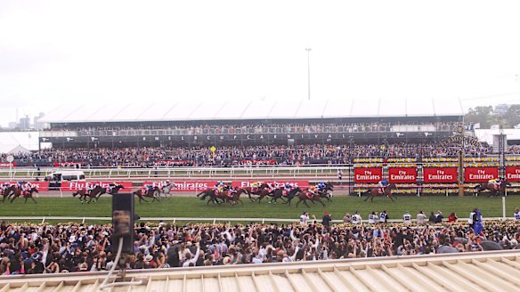 Almandin leads the Cup field home 100 lengths ahead of Rose of Virginia.