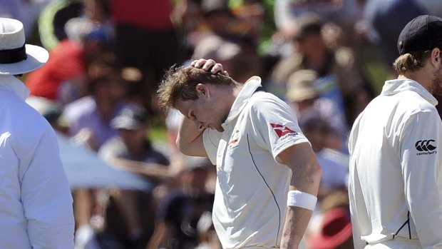 Ouch: Steve Smith holds his head after being hit on the helmet by a ball from New Zealand's Neil Wagner on the second day of the Test at Hagley Park Oval, in Christchurch.