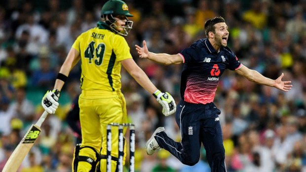 Controversial: Mark Wood celebrates the disputed catch off Steve Smith.