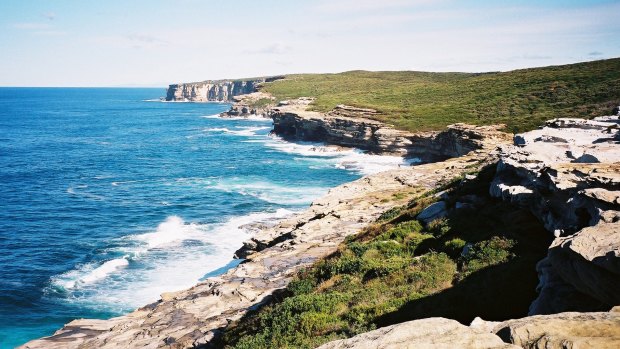 Sydney's Royal National Park was promoted as a possible World Heritage site.