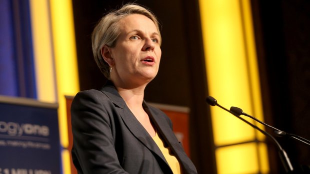 Federal Labor deputy leader Tanya Plibersek.