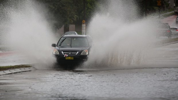 Sydney is expected to cop heavy rain this weekend.