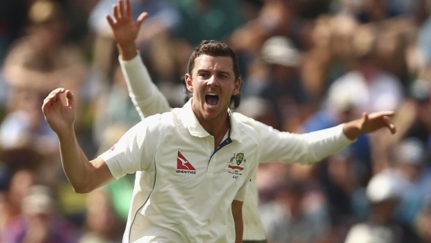 Determined: Josh Hazlewood hopes he will be reunited with Mitchell Starc in the WACA Test next month.