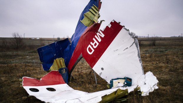 Parts of the Malaysia Airlines Flight MH17 at the crash site near the village of Hrabove, some 80 kms east of Donetsk.