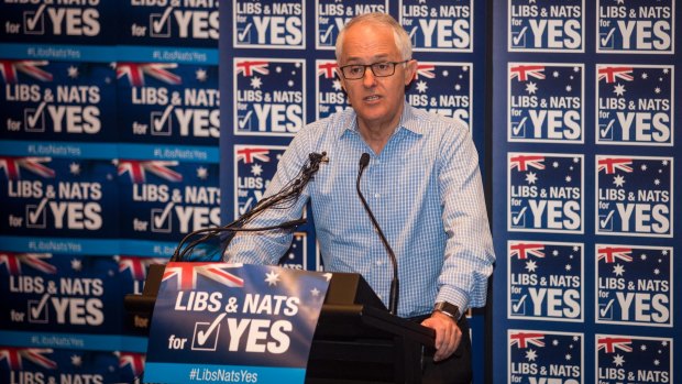 Malcolm Turnbull and other Coalition parliamentarians are playing a muted role in campaigning for a yes vote.