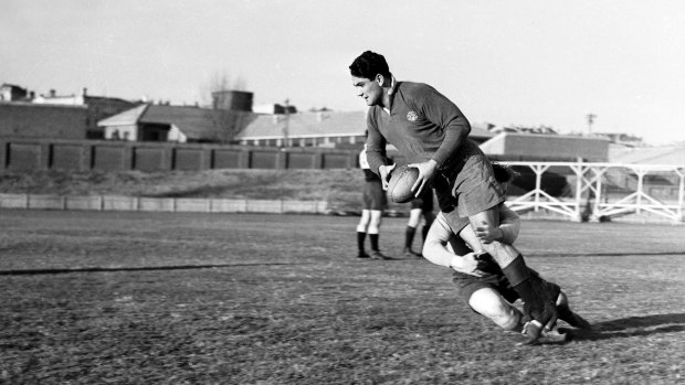 Home turf: Australian rugby union footballer Nicholas Shehadie training for Randwick in 1947.