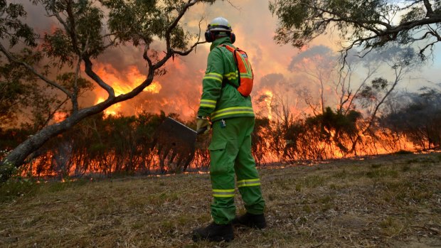 A controlled burn at Warnett on Western Port Bay.