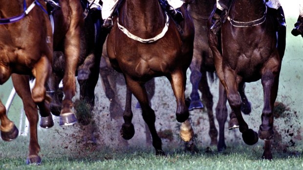 On the hunt: Country Racing NSW is on the lookout for a new chief executive.