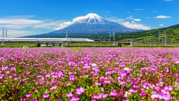 The Shinkansen bullet train runs past Mount Fuji.