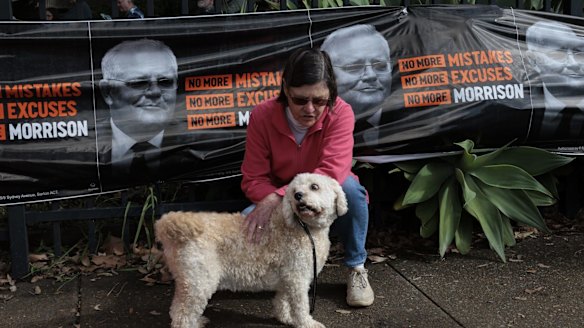 A voter tends to her dog outside the North Strathfield Primary polling booth in Sydney.
