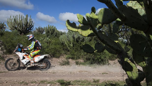 In charge: KTM rider Toby Price of Australia races between the cities of Termas de Rio Hondo and Rosario, Argentina in the Dakar Rally.