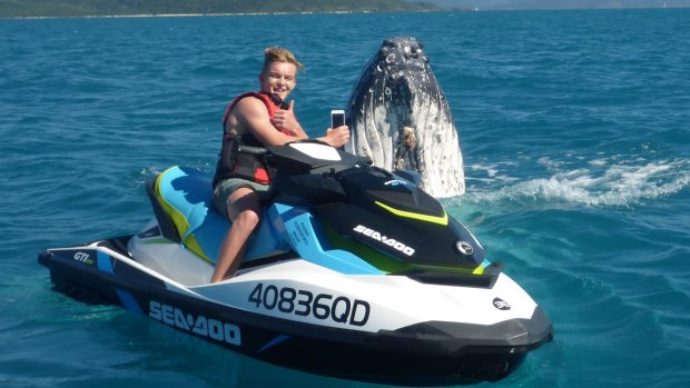 Whitsunday Jetski tour guest Travis Poland from Mackay was closely examined by the friendly humpback whale.