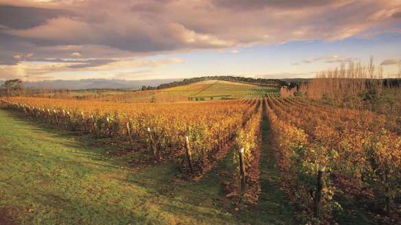 Tasmania's Tamar Valley.