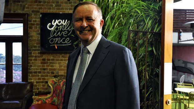 Anthony Albanese faces stiff competition from the Greens in his inner city seat of Grayndler.