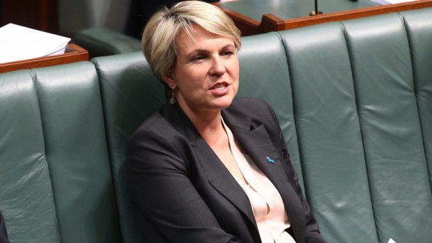 Tanya Plibersek during Question Time.