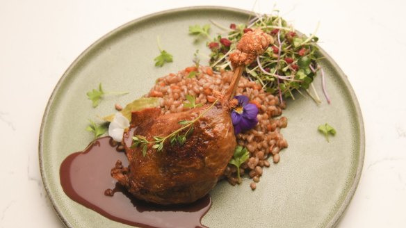 Confit duck with farro.