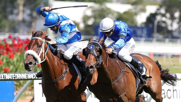Photo finish: Malice (right) edges out  Metaphorical  at Rosehill on Saturday.