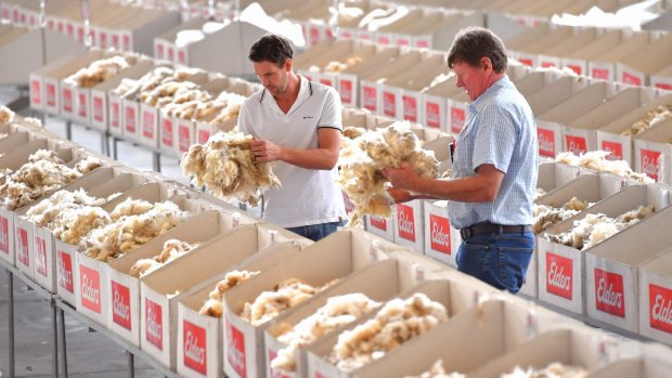 Wool growers Jarod Koschitzke and his father Greg Koschitzke inspecting wool before Thursday's auction. Australian wool prices are at a record high.