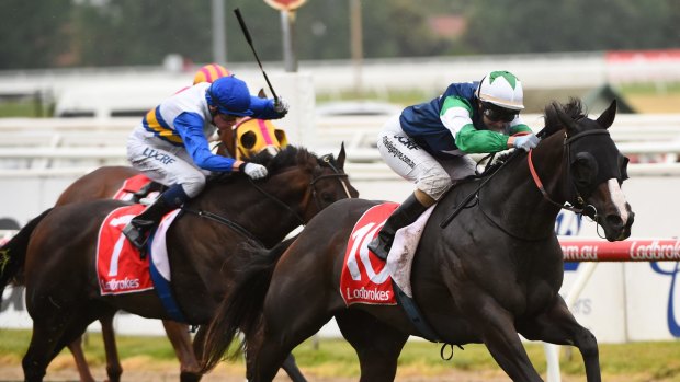 Grand effort: Grande Rosso (blue colours) runs second behind Lucky Liberty in the Christmas Stakes at Caulfield.