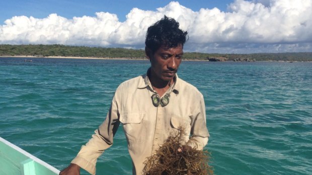 A seaweed farmer from the Indonesian island of Rote, where locals say their fish stocks and seaweed crops were devastated after the 2009 Montara oil spill in the Timor Sea.
