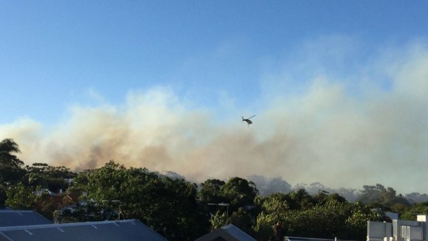 The fire has already burned though four hectares at Perth's Kings Park.