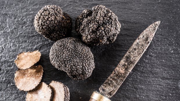 Truffles have long been the holy grail for Australian cultivators.