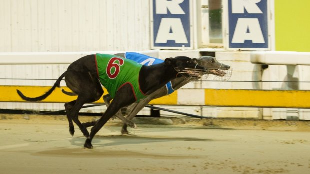 Let It Develop (No.6) edged out Blue Revolver in a photo finish in the Canberra Cup on Sunday night.