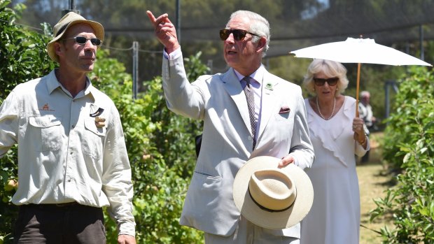 Prince Charles and Camilla, Duchess of Cornwall, tour an orchard with proprietor Murray Gomm in Albany, Western Australia.
