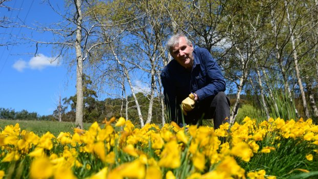 Peter Cundall at home in his garden patch in the Tamar Valley.