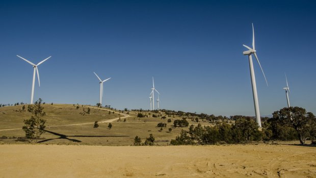 Seat of power:  Capital Wind Farm company Infigen is in the bidding to supply electricity to the national grid.