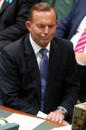 Under fire: Prime Minister Tony Abbott.