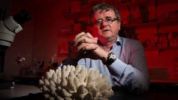 Researchers led by Terry Hughes say time is running out to save what’s left of the world’s reefs.